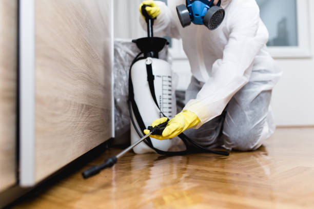 Best Pest Control for Businesses  in Willoughby Hills, OH